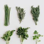 Assorted fresh herbs including basil, parsley, and dill presented on a white table.